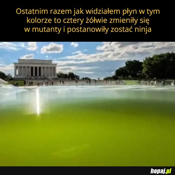 Zielony basen