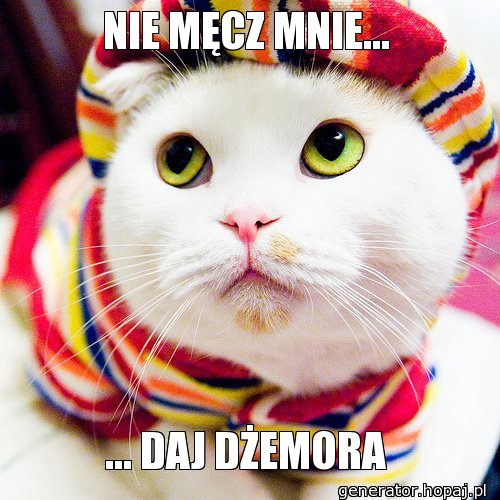 NIE MĘCZ MNIE...