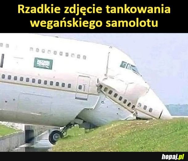 Wegański samolot