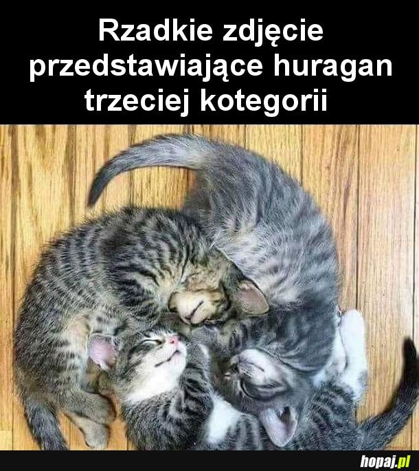 Huragan trzeciej kotegorii