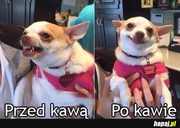Kawa czyni cuda