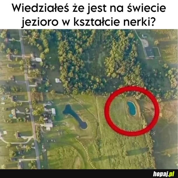 Wow!