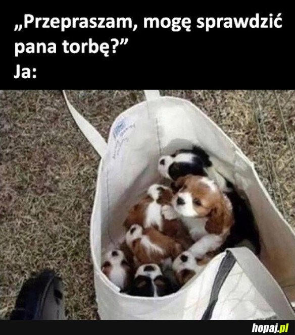 TYMCZASEM NA LOTNISKU