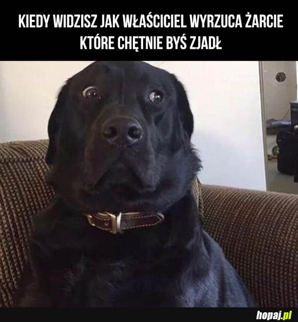 Jak można