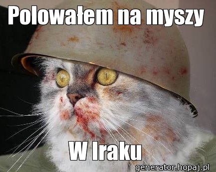 Polowałem na myszy