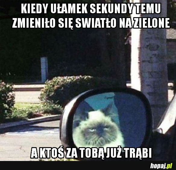 Na światłach