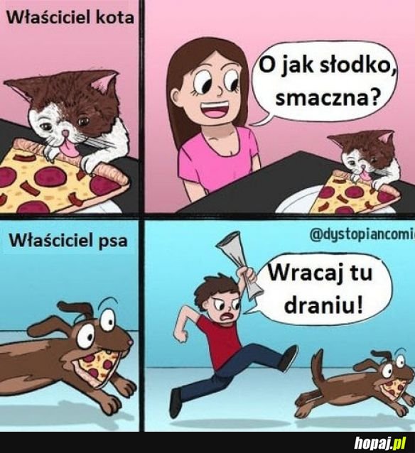 Różnica