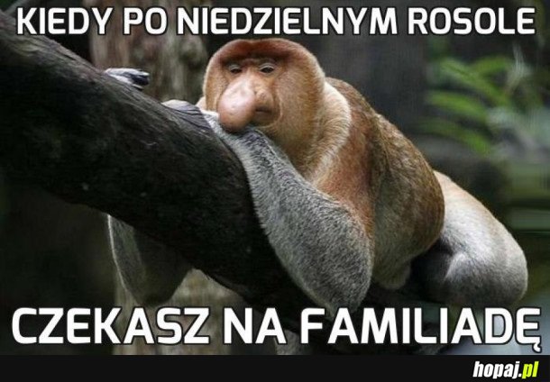 JEST MI TAK DOBRZE