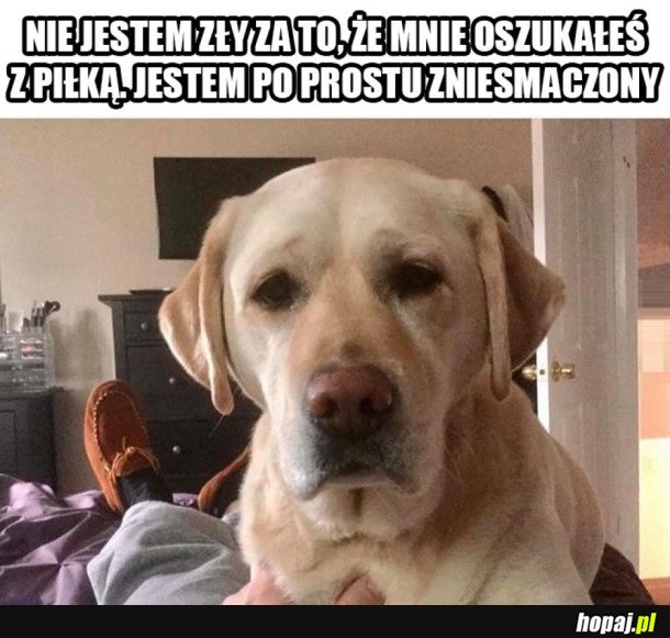 ZNIESMACZONY PIESEŁ