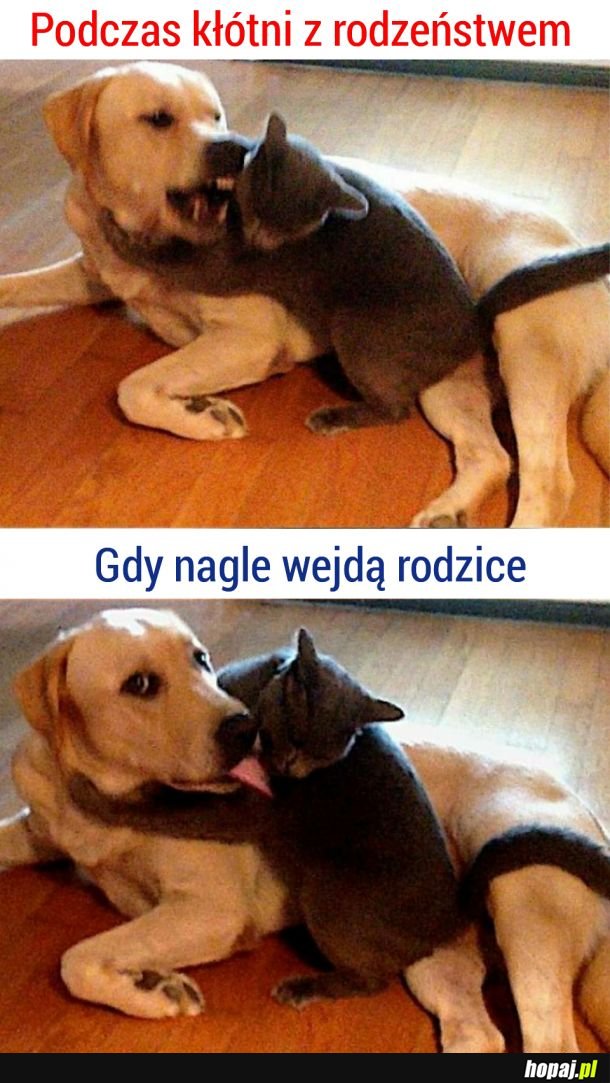 Zdarzało się..