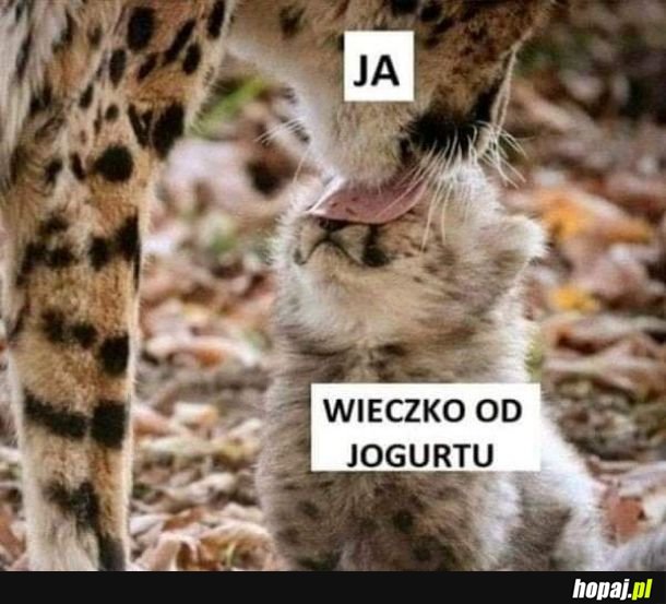 Nic nie może się zmarnować
