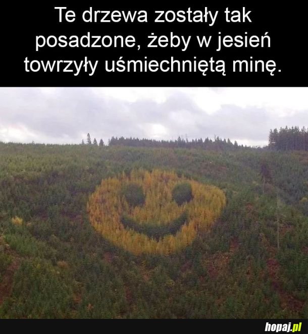 Ktoś wpadł na spoko pomysł