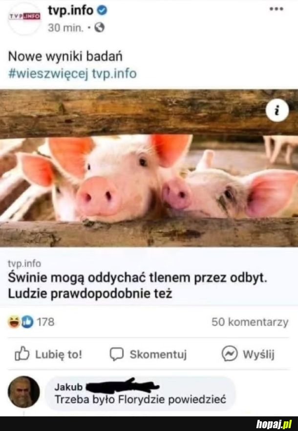 Ciekawostka