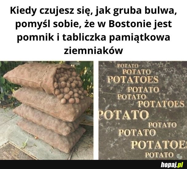 Bulwastycznie!