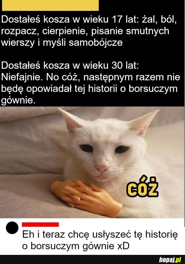 Historia o borsuczej kupie