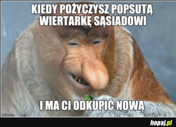 TYPOWY JANUSZ