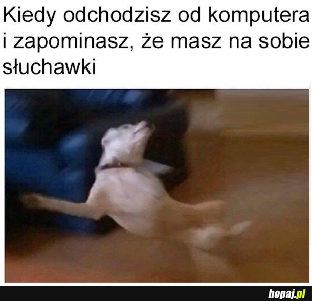 ILE SŁUCHAWEK TAK STRACIŁEM...