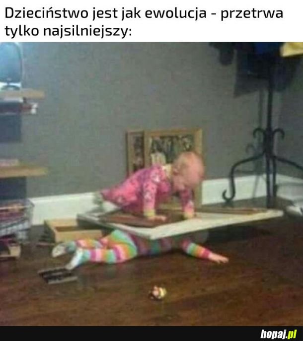 Walka o dominację