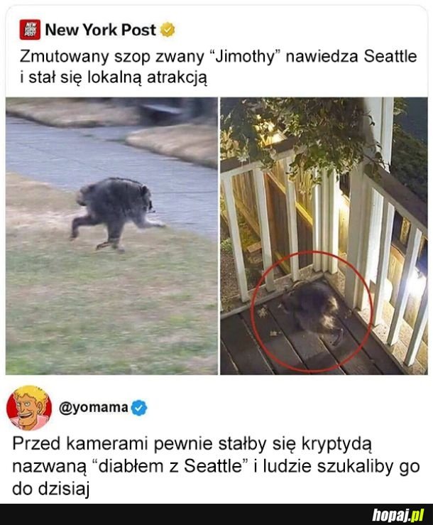 Diabeł
