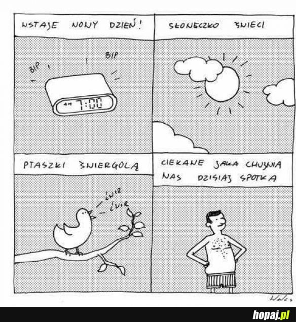Nowy dzień