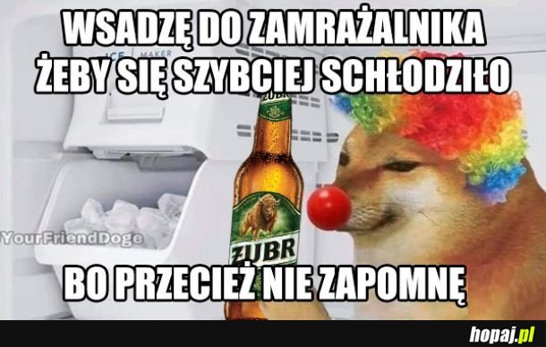 Piwo w zamrażarce