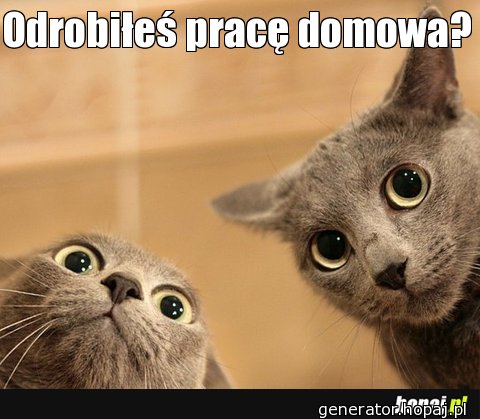 Odrobiłeś pracę domowa?