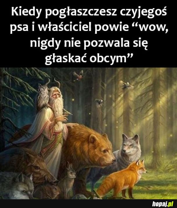 Jestem władcą zwierząt