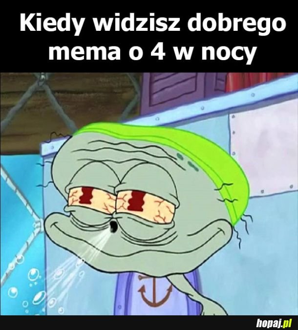 Po co spać jak można oglądać memy