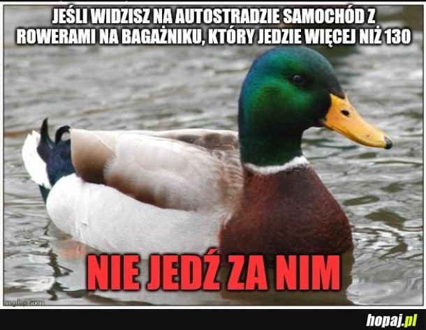 Na podstawie 2 doświadczeń z s8 i a4