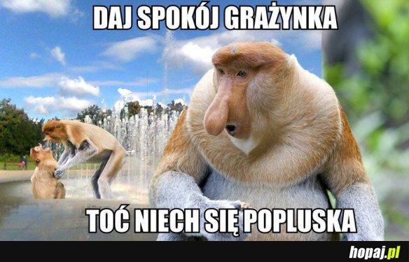 NIECH SIĘ POPLUSKA