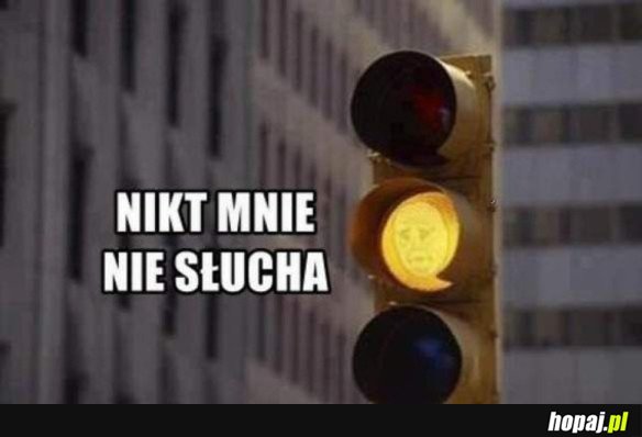 NIKT NIE SŁUCHA ŻÓŁTYCH ŚWIATEŁ