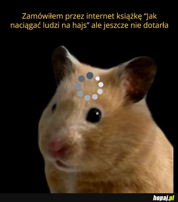 Pewnie trzeba jeszcze poczekać