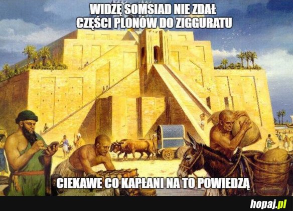 TO SIĘ SOMSIAD ZDZIWI