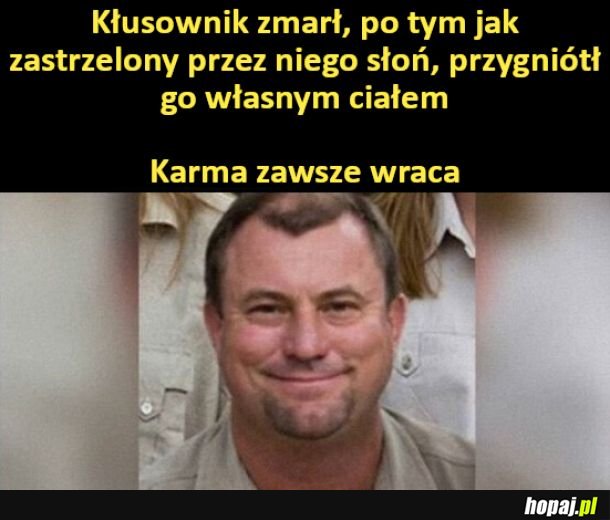 Karma dopadła