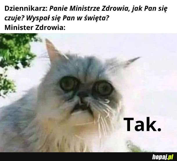 Dzisiaj wygląda lepiej