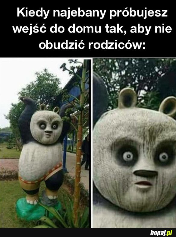  KIEDY PIJANY PRÓBUJESZ NIE OBUDZIĆ RODZICÓW