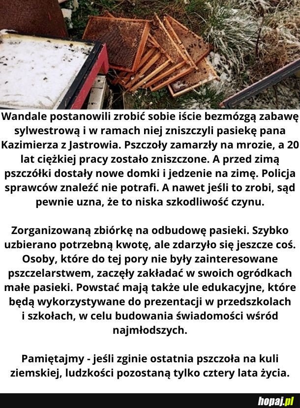 Dobra wiadomość na dziś!