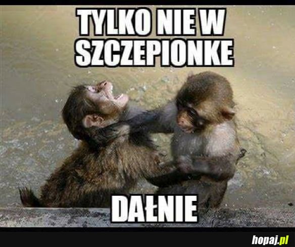 Gdzie w szczepionkę