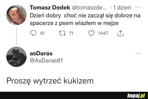 Auć