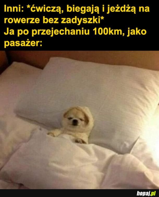 Moja kondycja