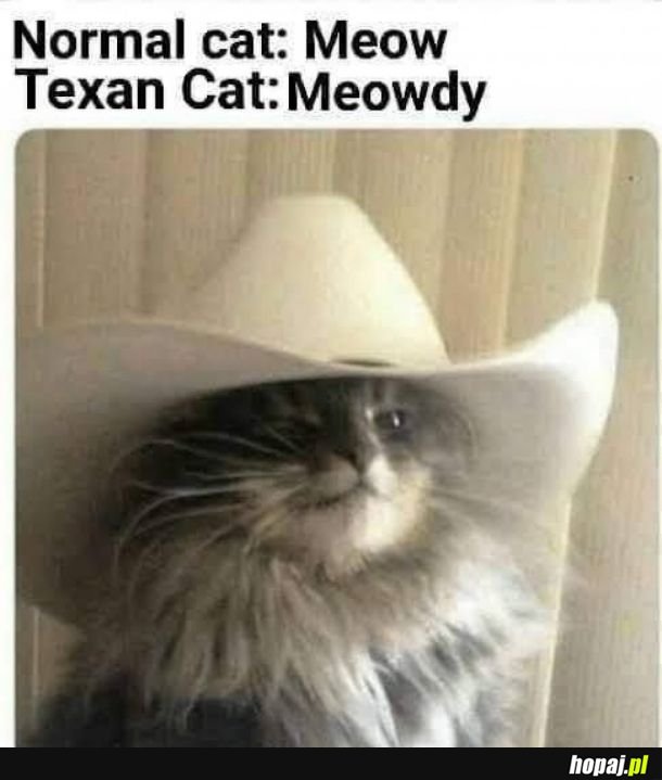Meowdy.
