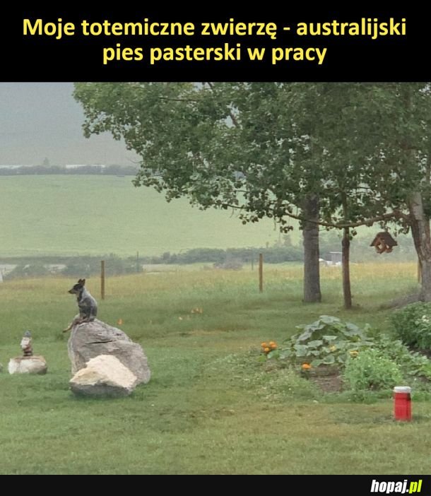 Totemiczne zwierzę