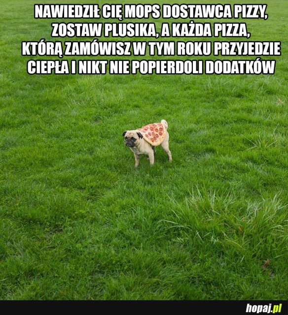 MOPS DOSTAWCA PIZZY