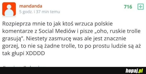 Po prostu głupi