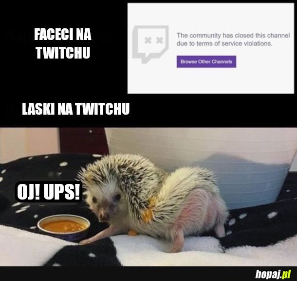  Że niby przypadkiem 