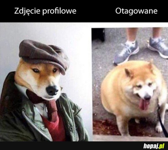 Zdjęcie profilowe vs otagowane