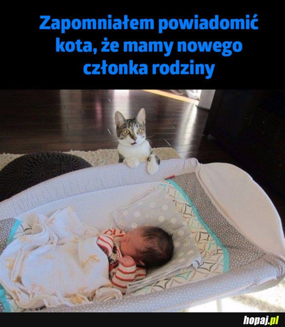 CZŁOWIEK CO TO JEST