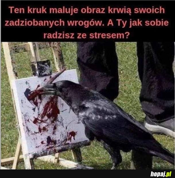 Nie radzę sobie