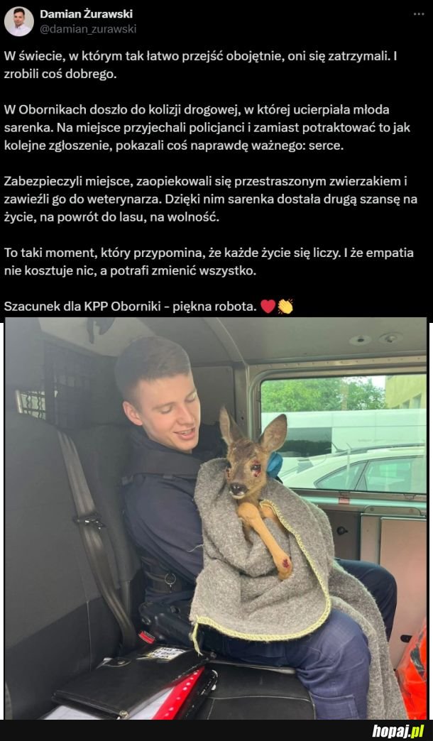 Ogromny szacunek