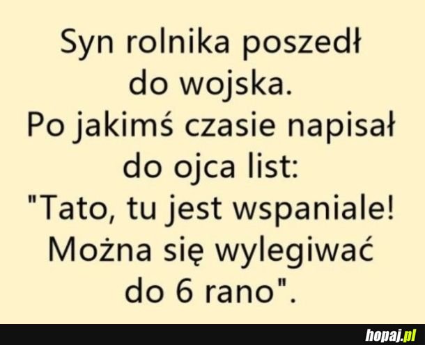 Wojsko